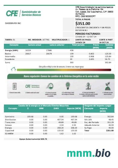 Meksyk energii elektrycznej CFE rachunek za usługi komunalne szablon w formacie Word i PDF, w pełni edytowalne